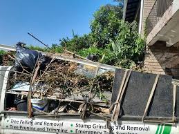 Best Yard Waste Removal  in Park Forest, IL